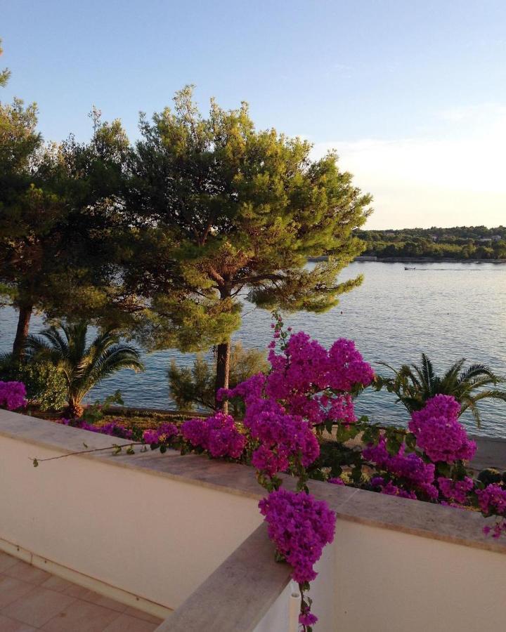 Illyrian Resort Milna  Exteriör bild
